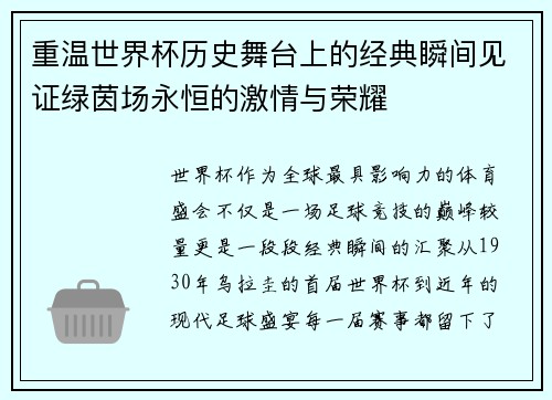 重温世界杯历史舞台上的经典瞬间见证绿茵场永恒的激情与荣耀